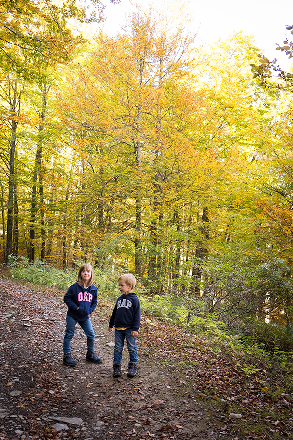 bambini sul sentiero nel bosco