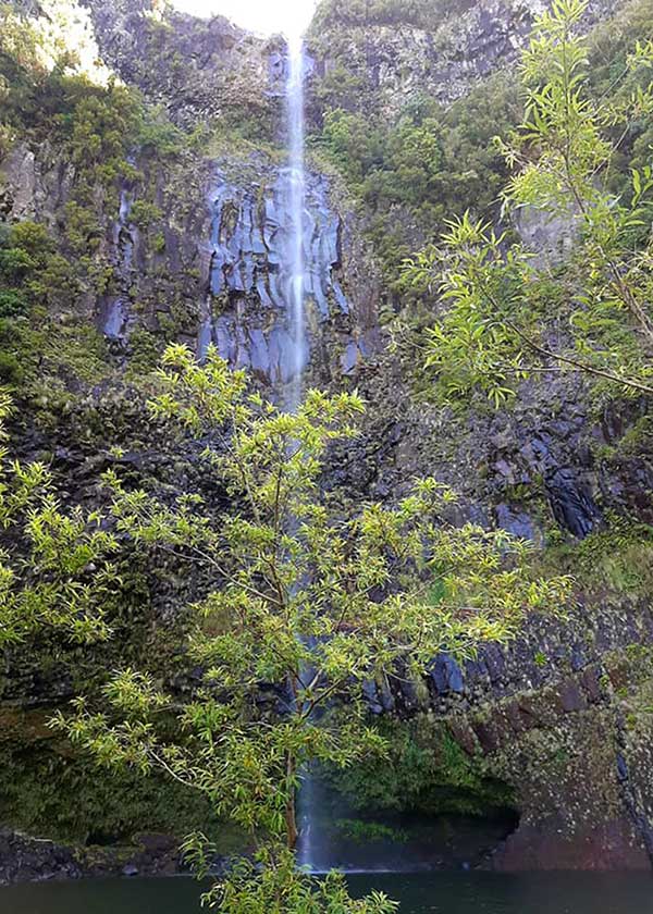 cascata Levada do Alecrim