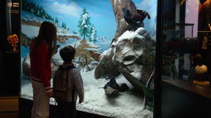 Musei roma bambini