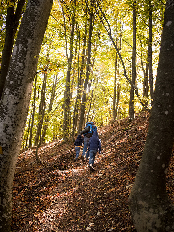 Camminata sul Monte Ebro. Famiglia sul sentiero in salita nel bosco