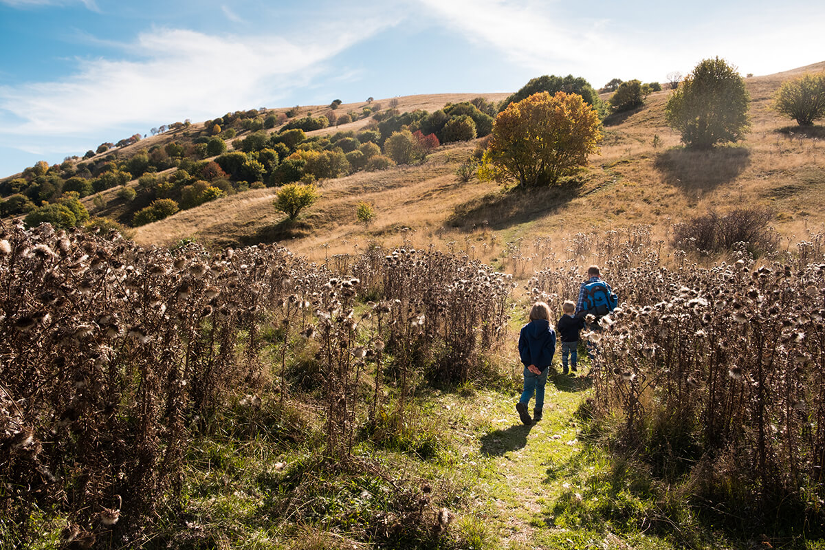 papà e bambini camminano sul sentiero nel prato in autunno