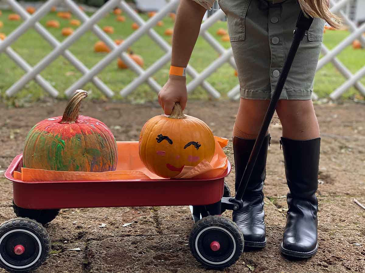 zucche halloween