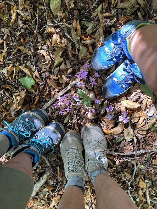 scarpe da trekking folgie e ciclamini