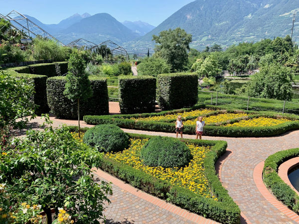 giardino con siepi e fiori gialli