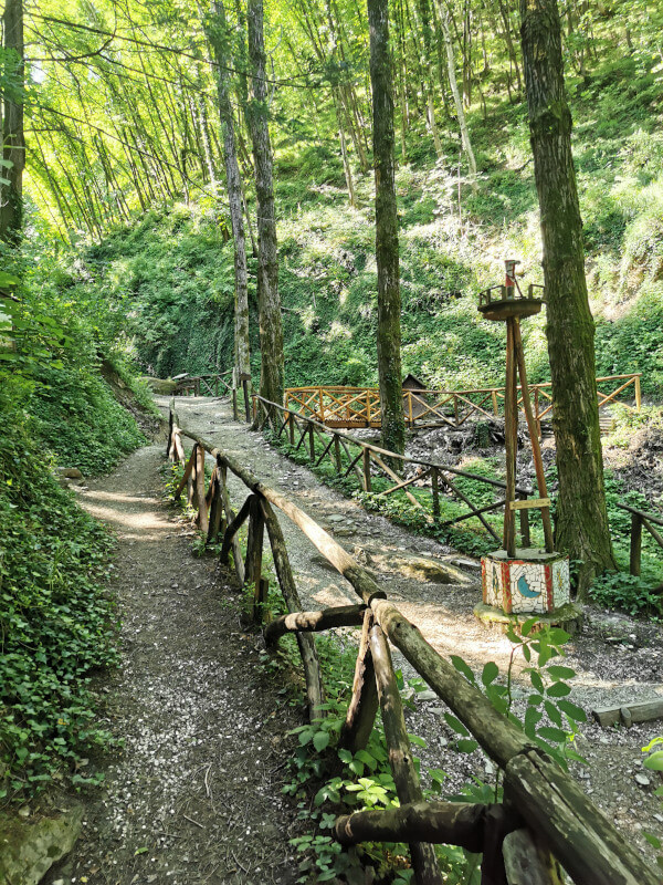 sentiero nel bosco