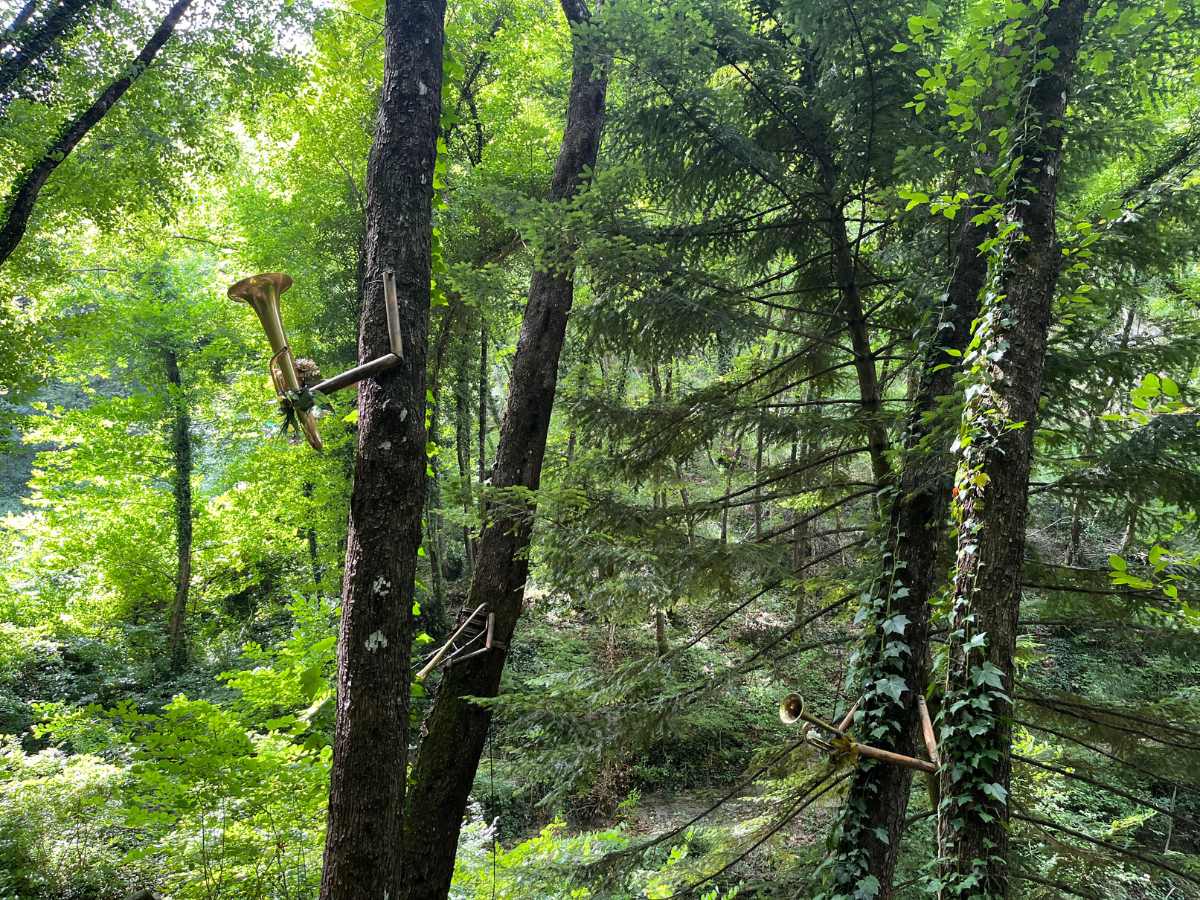 strumenti appesi agli alberi nel sentiero degli gnomi di bagno di romagna