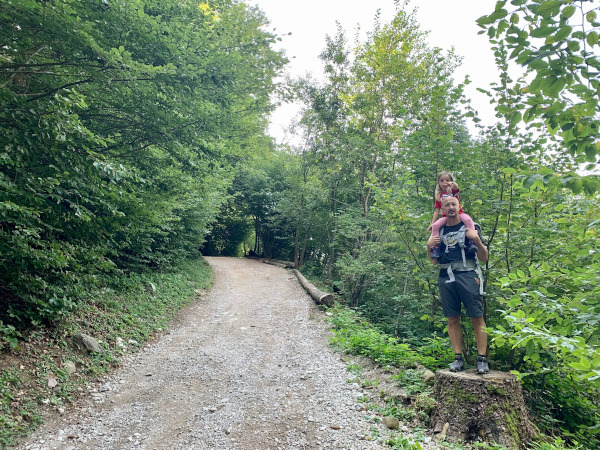 sentiero nel bosco