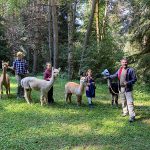 famiglia trekking alpaca