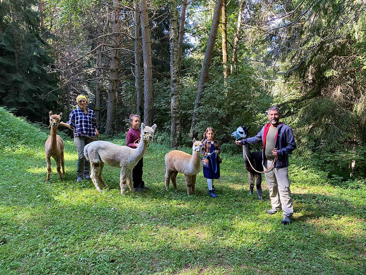 famiglia trekking alpaca