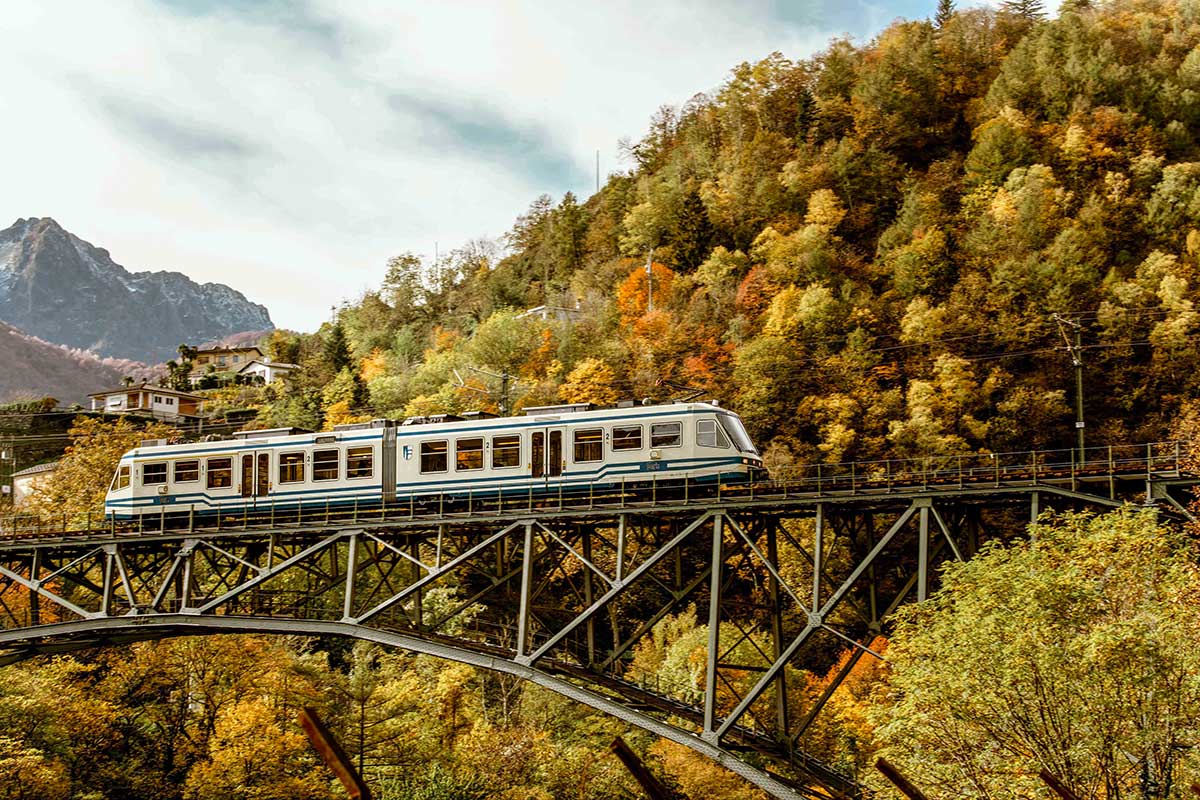 treno foliage