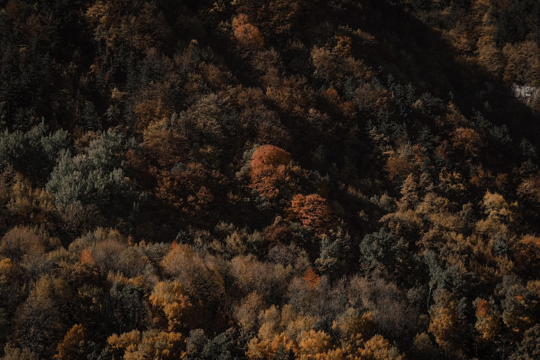 Abruzzo tra foliage e castagneti