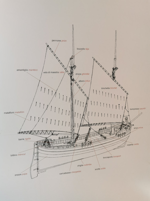 disegno della barca con nomi delle varie parti