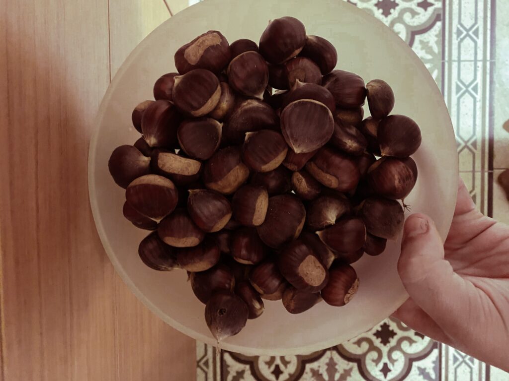 castagne appena raccolte in Abruzzo