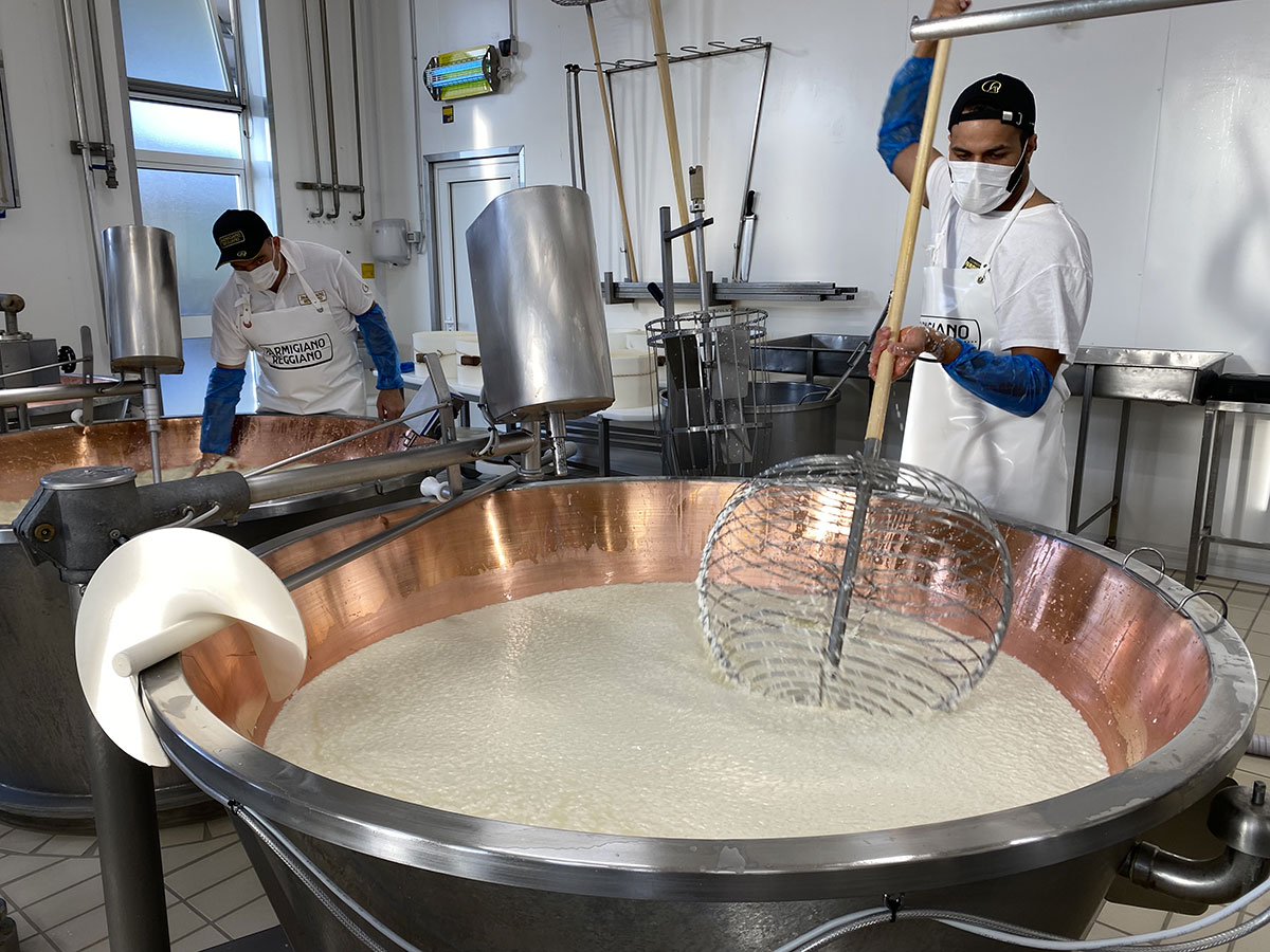 uomini al lavoro in u ncaseificio el parmigiano reggiano