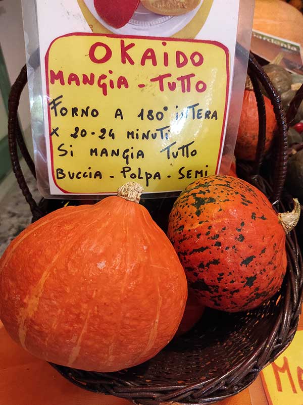 zucca okaido piemonte tutto zucche