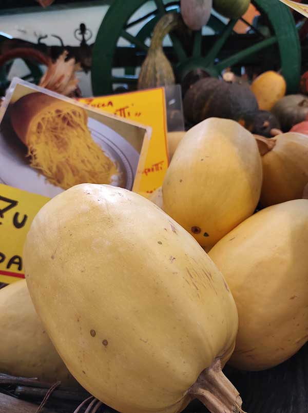 zucca spaghetti tutto zucche andezeno