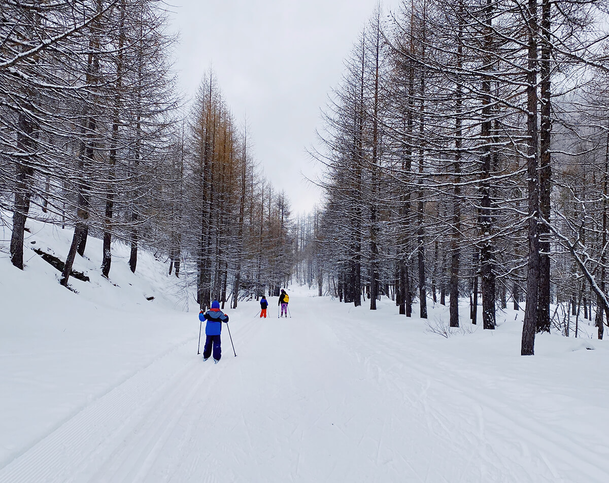 pista di fondo nel bosco con bambini che sciano