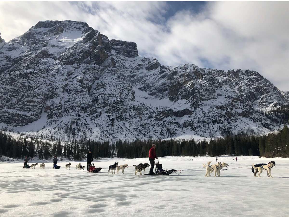 slitte con cani val di sole 