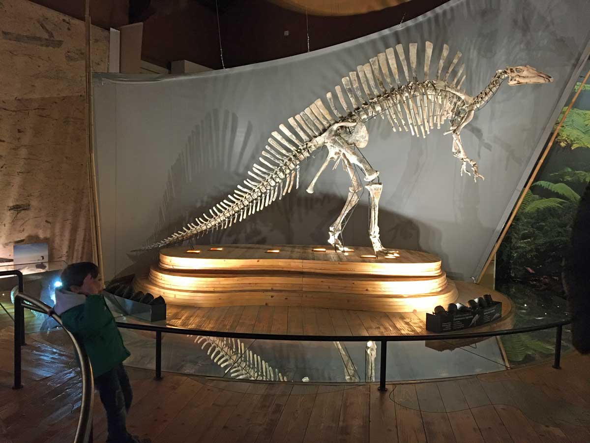 Itinerario a Venezia con i bambini: Museo di scienze naturali