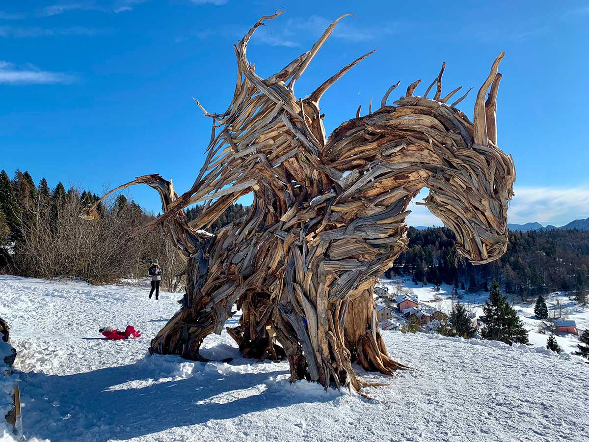 Drago di Vaia