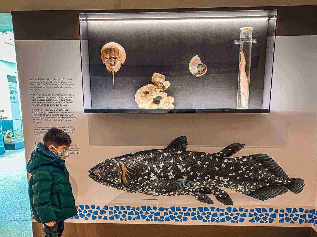 museo darwin dohrn napoli