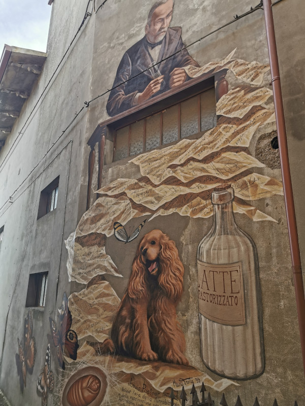 murales latte pastorizzato con cane accanto a bottiglia di latte