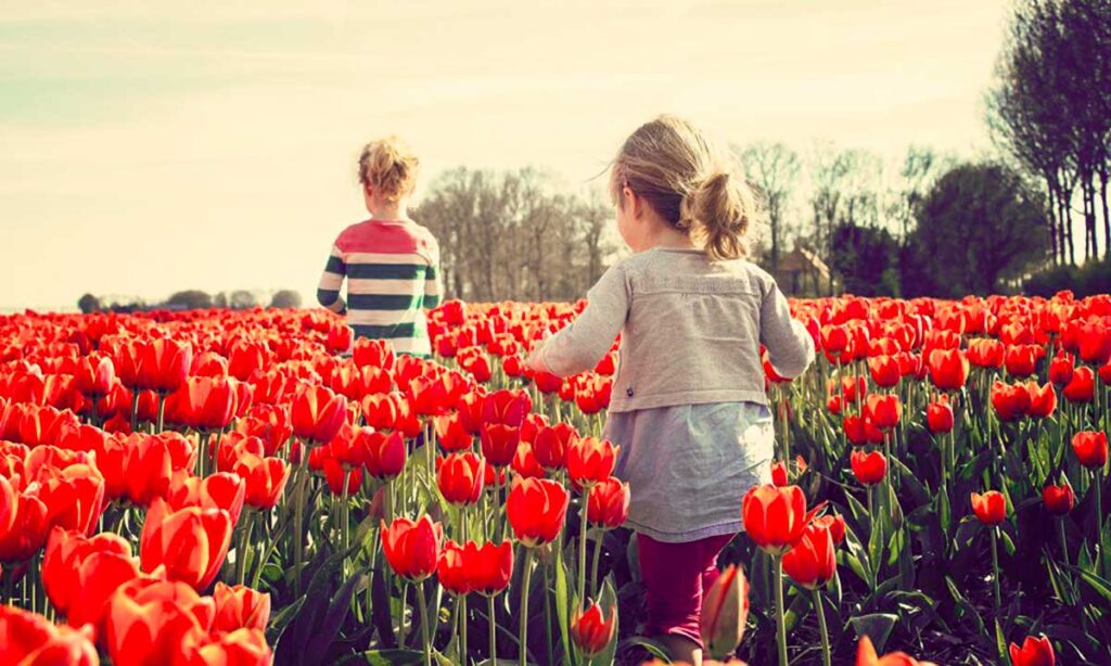 bambini in campo di tulipani