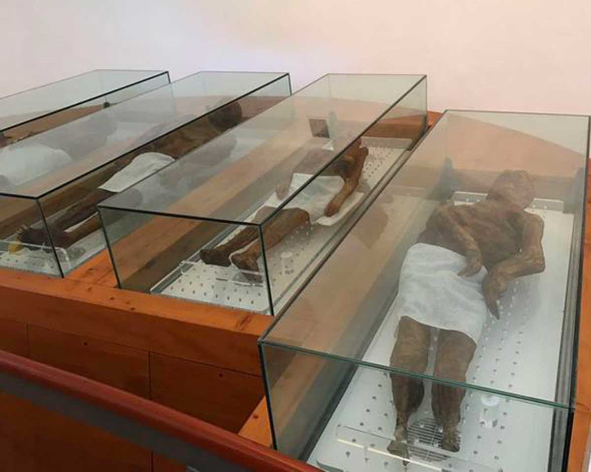 Mummie di Venzone