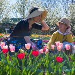 mamma e bambina in campo di tulipani