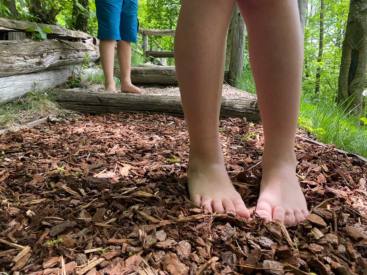 piedi nudi bimbi nel bosco