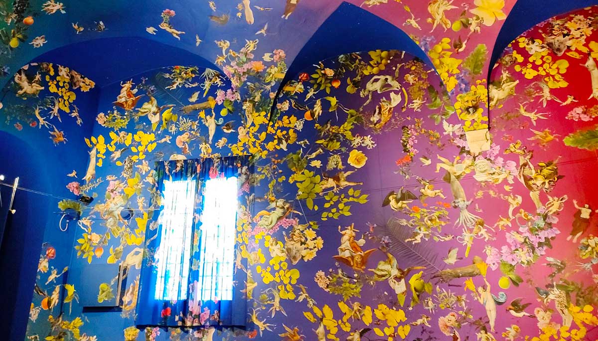 mostra crazy roma farfalle finestra