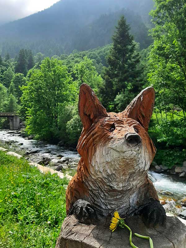 volpe di legno