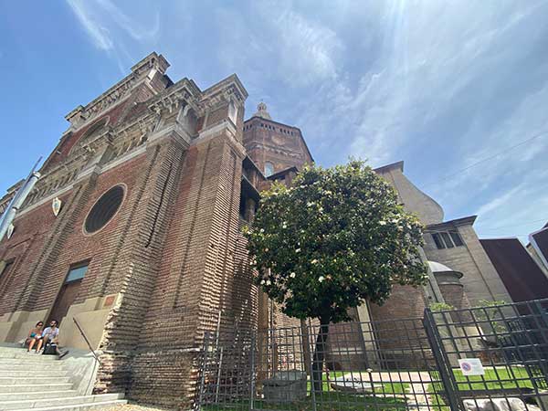 Duomo Pavia