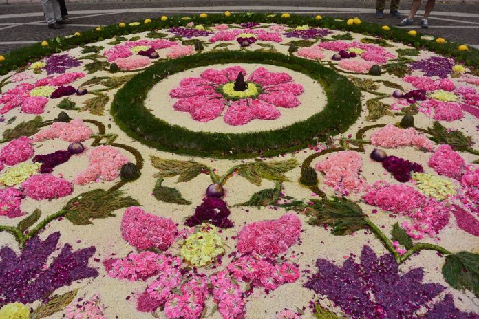 infiorata pietra ligure