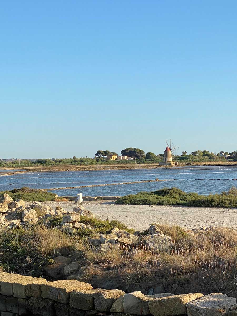 saline marsala bambini