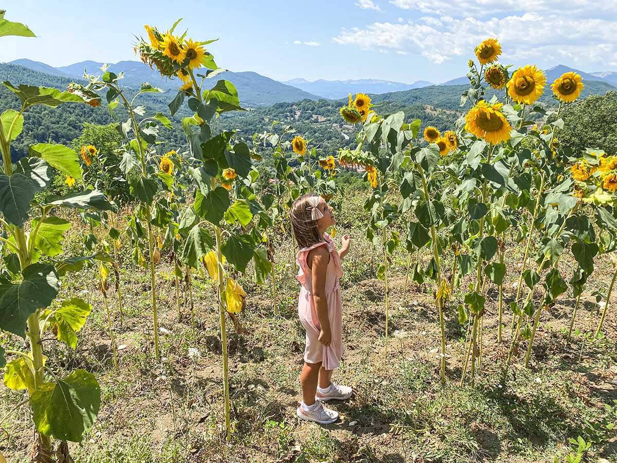 bambina in Campi di girasoli in Italia