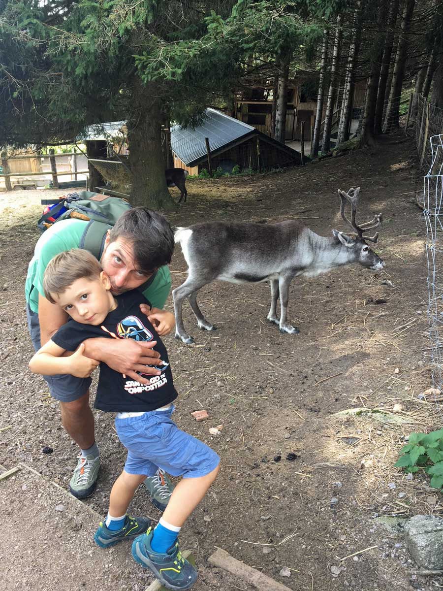 bambino papà e renna