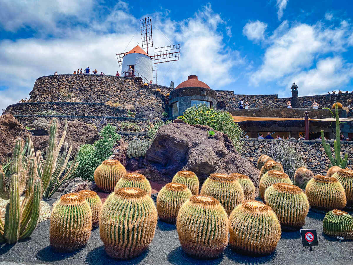 Jardin de Cactus