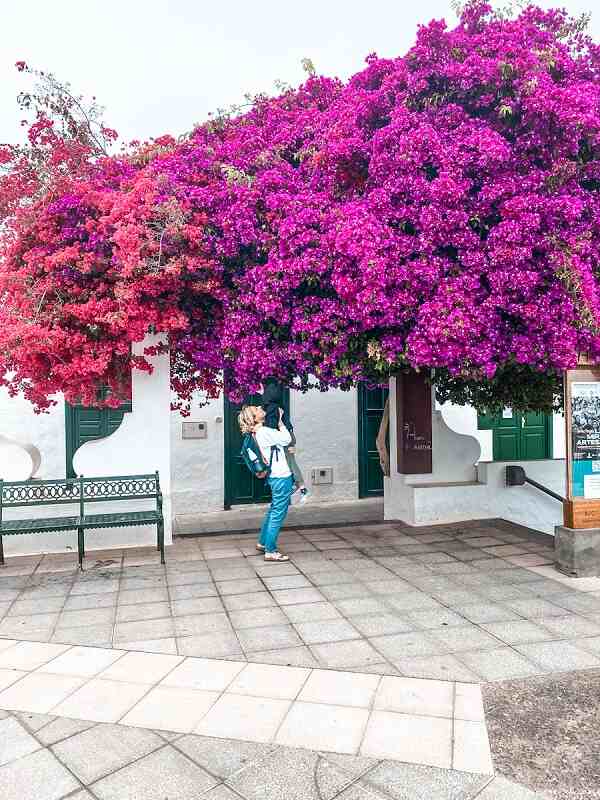 Plaza de la Constitucion Haria