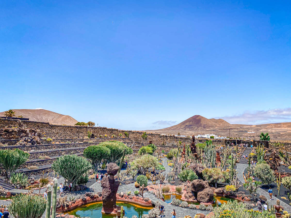 lanzarote con i bambini jardin de cactus