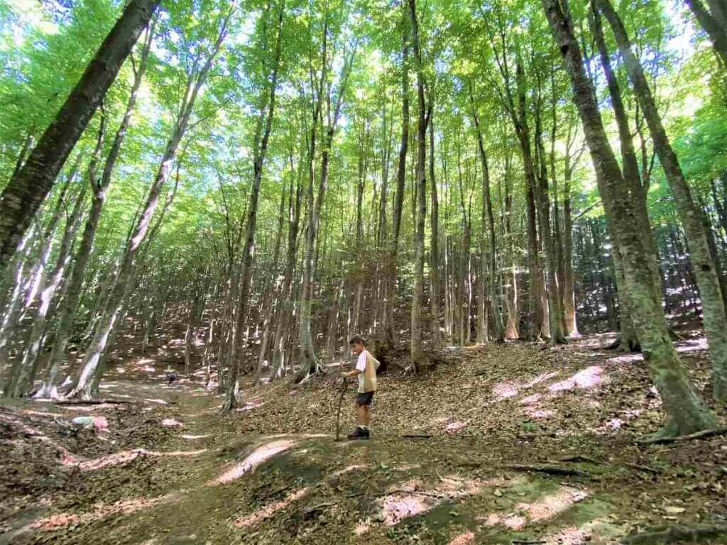 oasi wwf pannarano trekking bambini