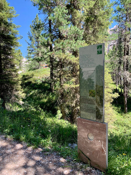 totem nel bosco