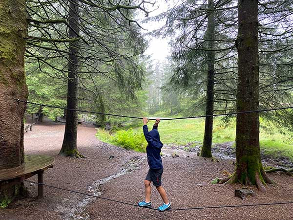 Foresta dei Troll Bergen