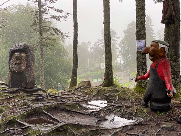 Foresta dei Troll Bergen