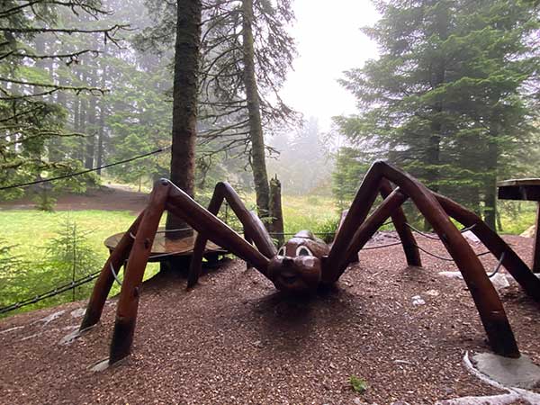 Foresta dei Troll Bergen