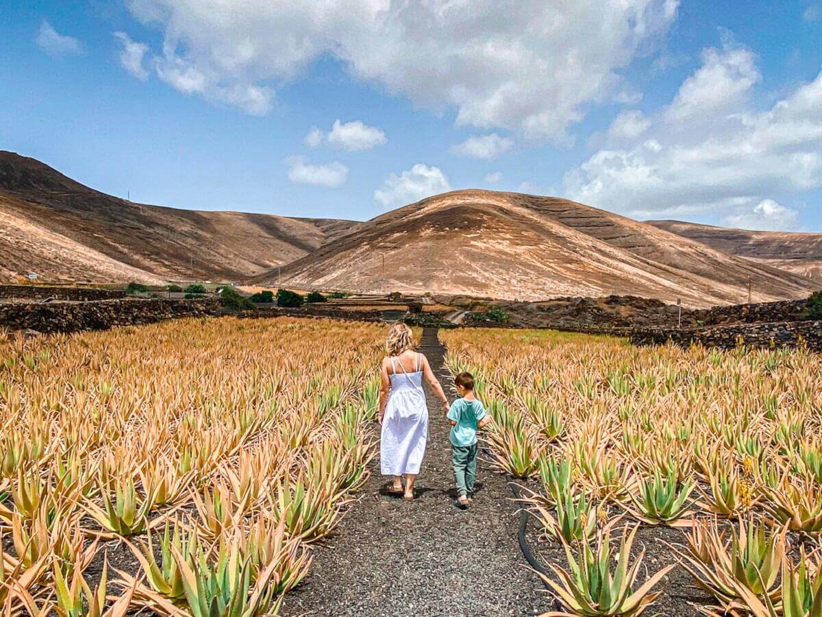 Lanzarote