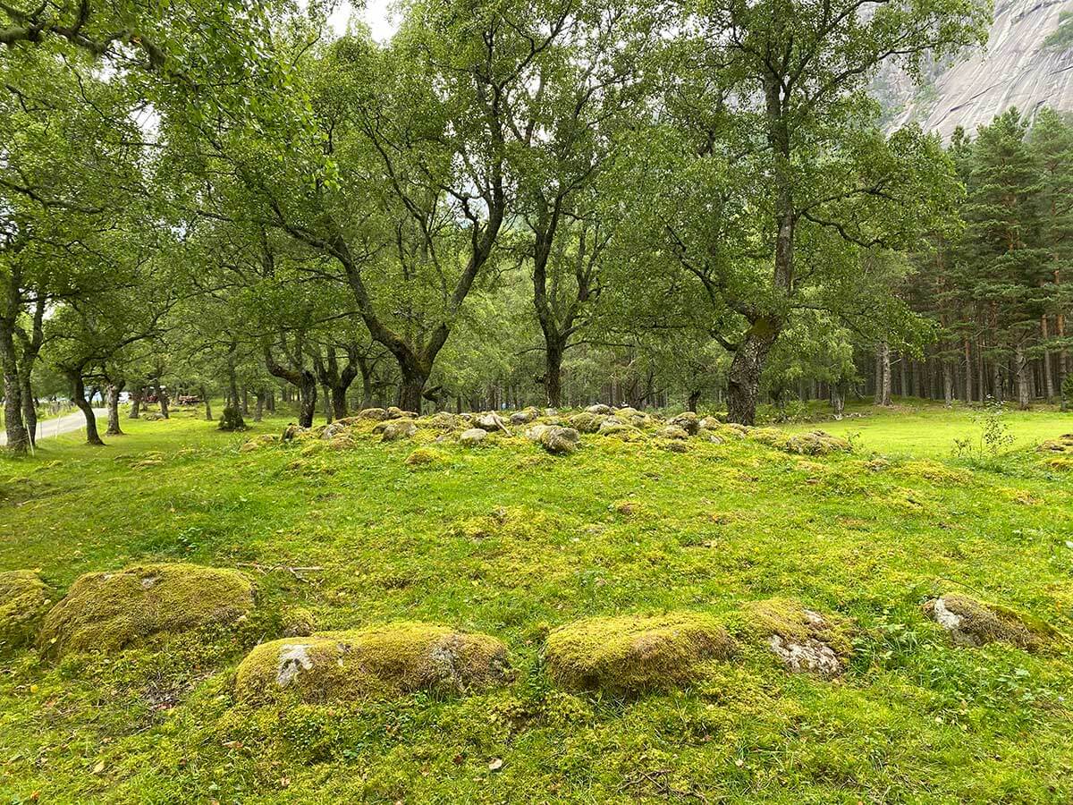 tumuli funerari vichinghi