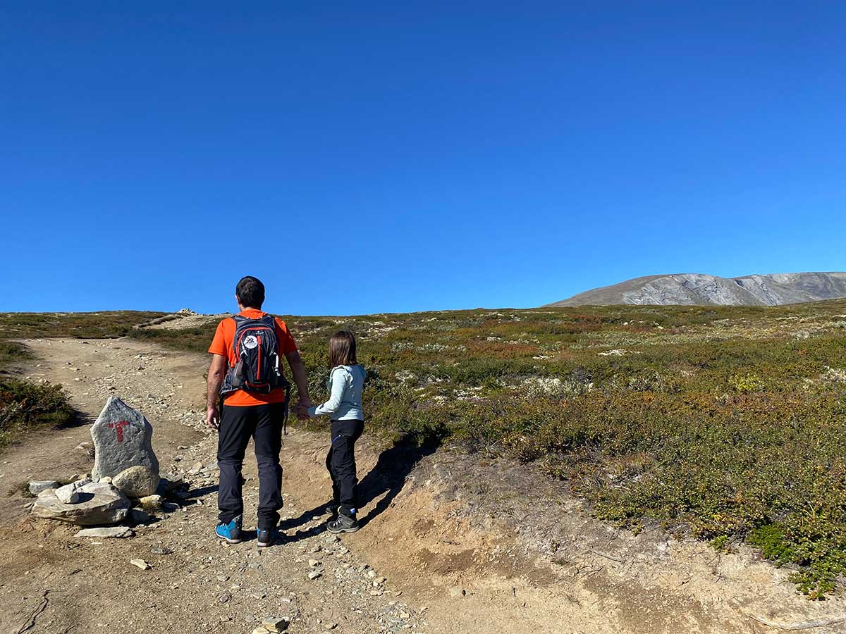 Il parco nazionale Dovrefjell-Sunndalsfjella