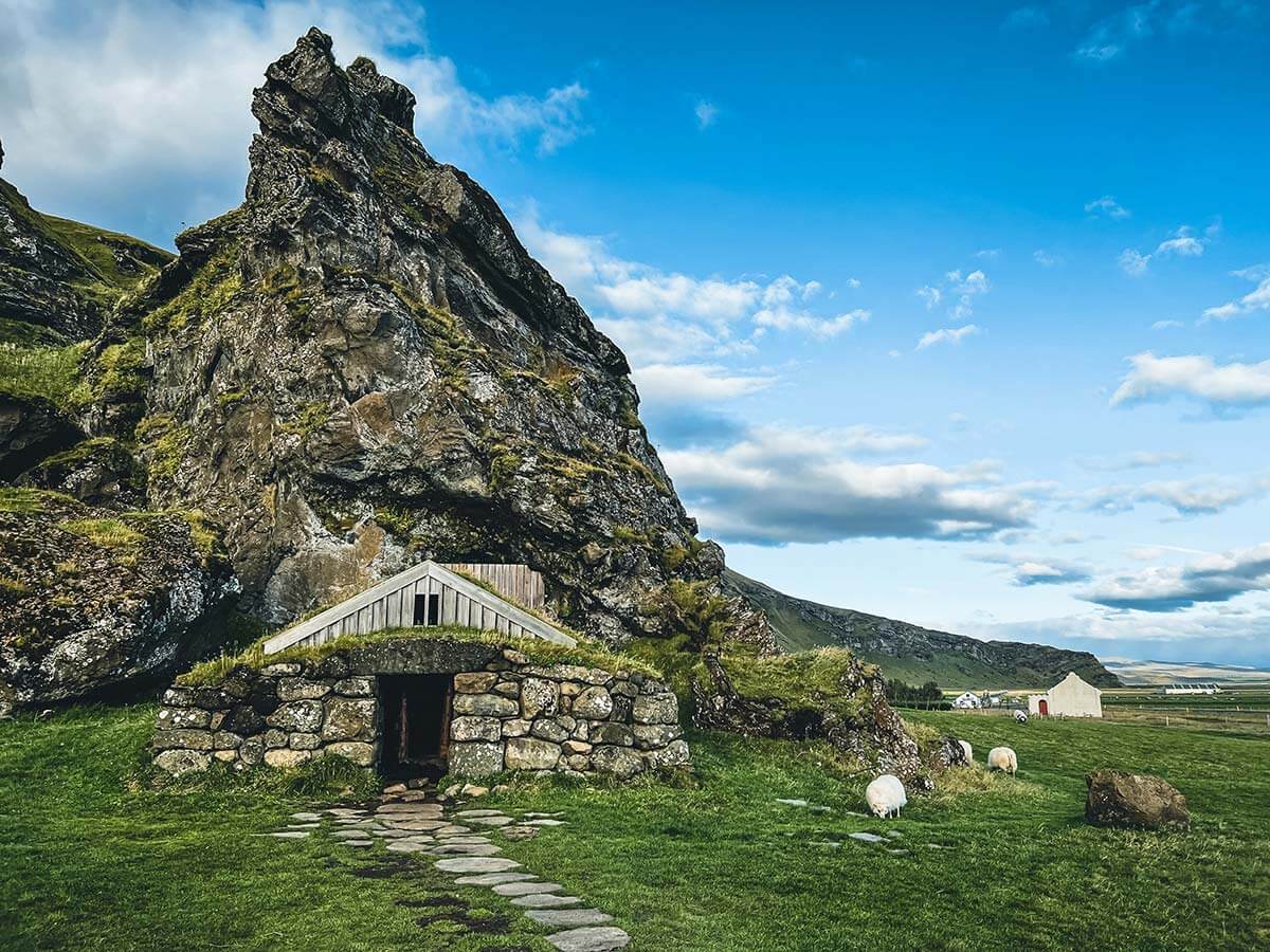 casa di torba e pietra in Islanda con pecore