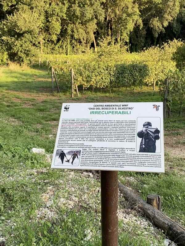 centro irrecuperabili oasi wwf bosco san silvestro